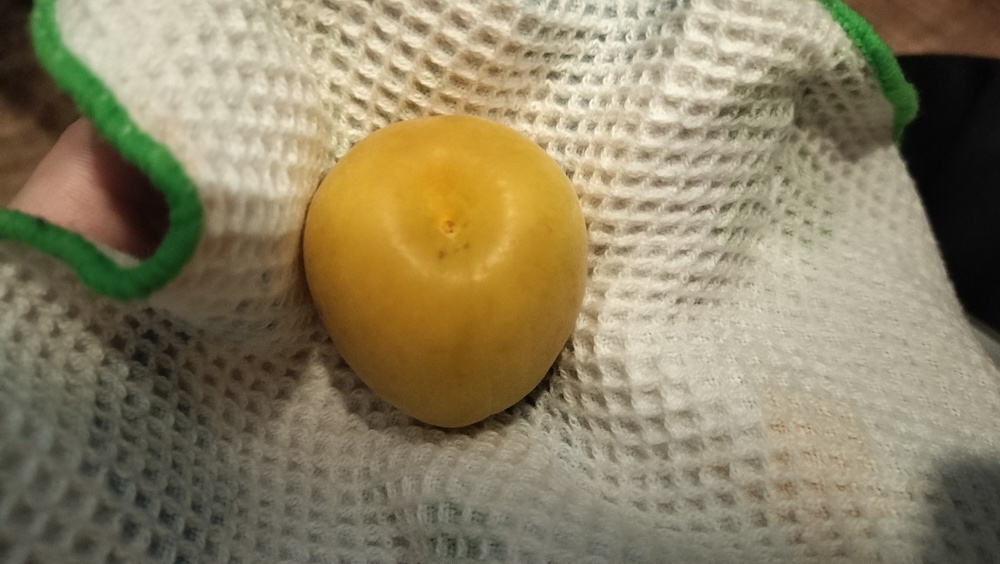 ヘタをとった梅干し